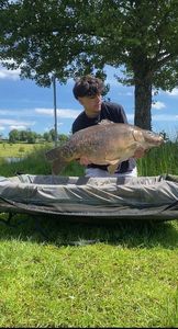 Mirror Carp