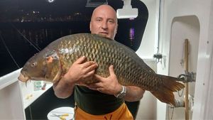 Common Carp