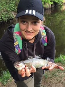 Rainbow Trout