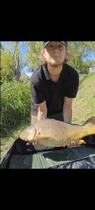 Mirror Carp