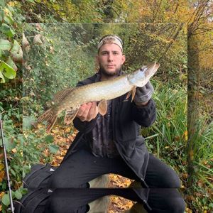 Northern Pike