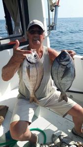 Black Seabream