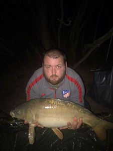 Mirror Carp