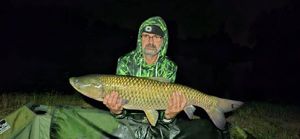 Grass Carp