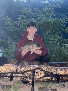 Crucian Carp