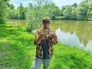 Largemouth Bass