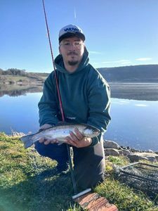 Rainbow Trout
