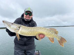 Northern Pike