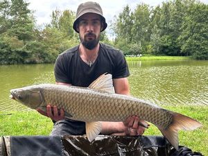Grass Carp