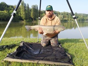 Grass Carp