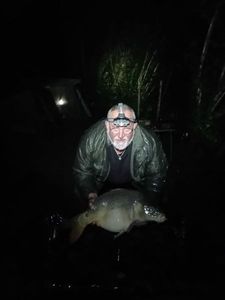 Mirror Carp