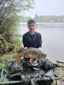 Mirror Carp
