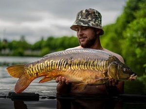 Mirror Carp