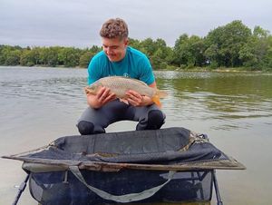 Common Carp