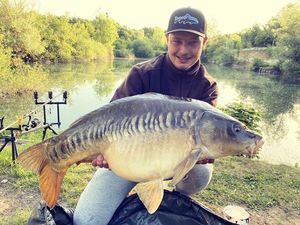 Mirror Carp
