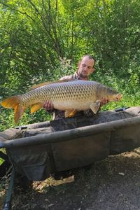 Common Carp