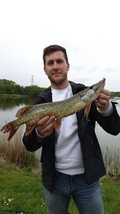Northern Pike