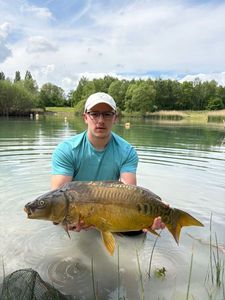 Common Carp