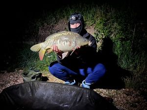 Mirror Carp