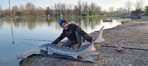 Sturgeon
