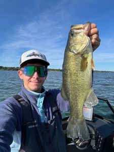 Largemouth Bass