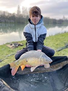 Mirror Carp