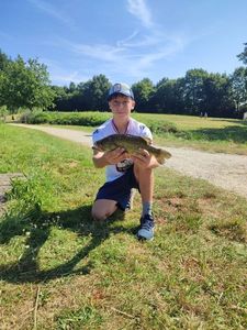 Largemouth Bass