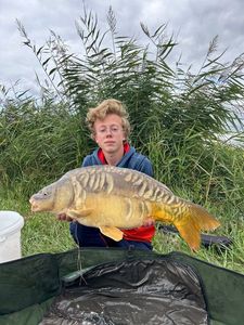 Mirror Carp