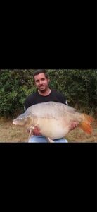 Mirror Carp