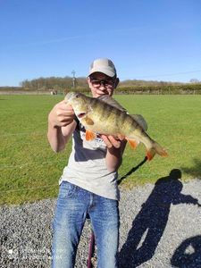 European Perch