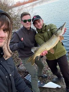 Northern Pike