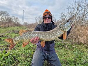 Northern Pike