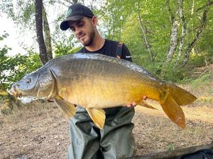 Mirror Carp