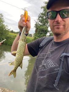 Northern Pike