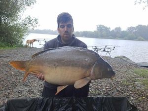 Mirror Carp