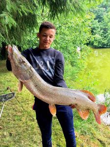 Northern Pike