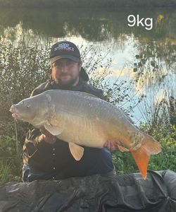 Mirror Carp