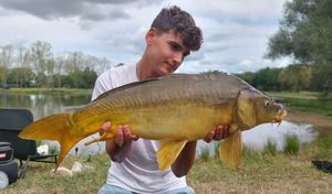 Mirror Carp