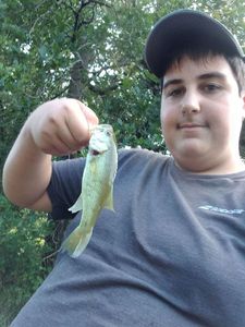 Largemouth Bass