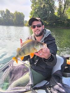 European Perch