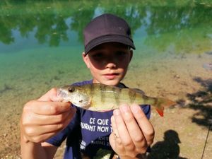 European Perch