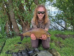 Common Bream