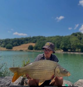 Common Carp