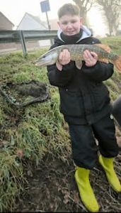 Northern Pike