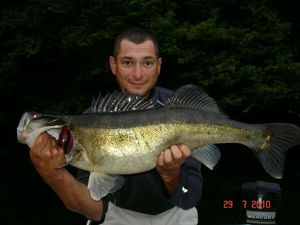 Zander