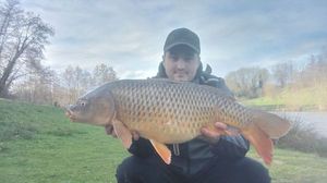 Common Carp