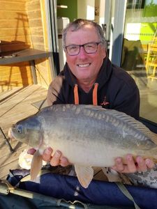 Mirror Carp