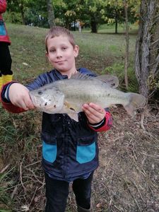 Largemouth Bass