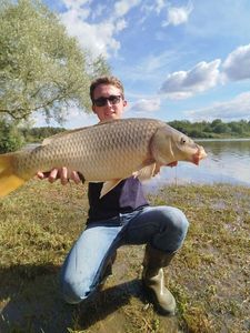 Common Carp