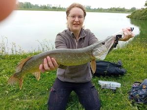 Northern Pike